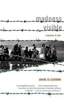 madness-visible-book-cover-tn