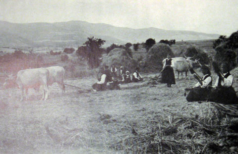 bulgarian-peasants-in-summer