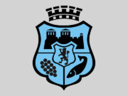 vidin municipality